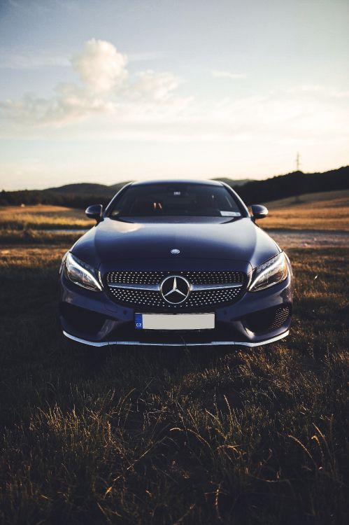 Mercedes Benz, Groupe Mercedes Benz, Mercedes Benz Classe c, Mercedes Benz Classe s, Mercedes Benz Cls. Wallpaper in 3665x5507 Resolution