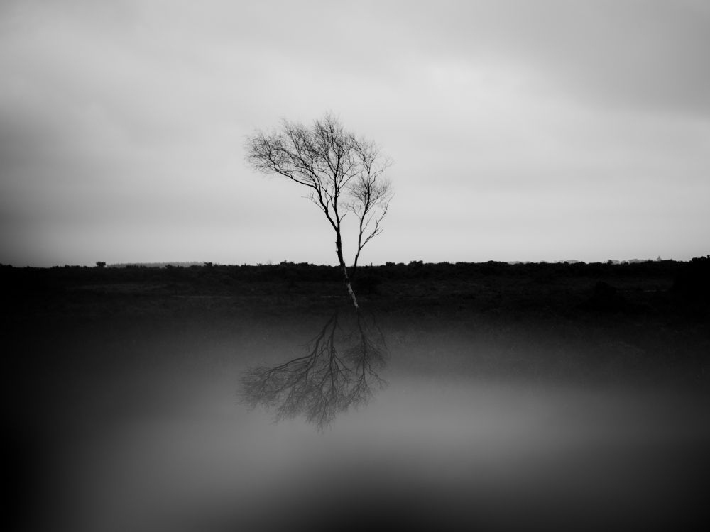 Nature, Noir et Blanc, White, Noir, Paysage Naturel. Wallpaper in 6232x4674 Resolution