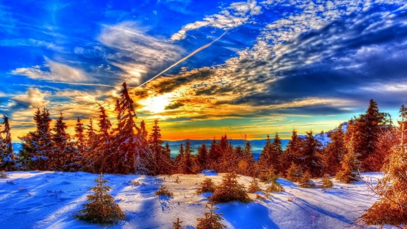 green trees on snow covered ground under blue sky and white clouds during daytime