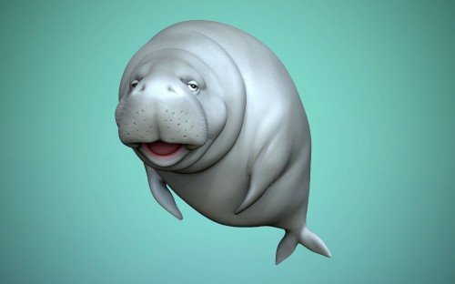 Image dugong, 3d modeling, FBX, virtual reality, head