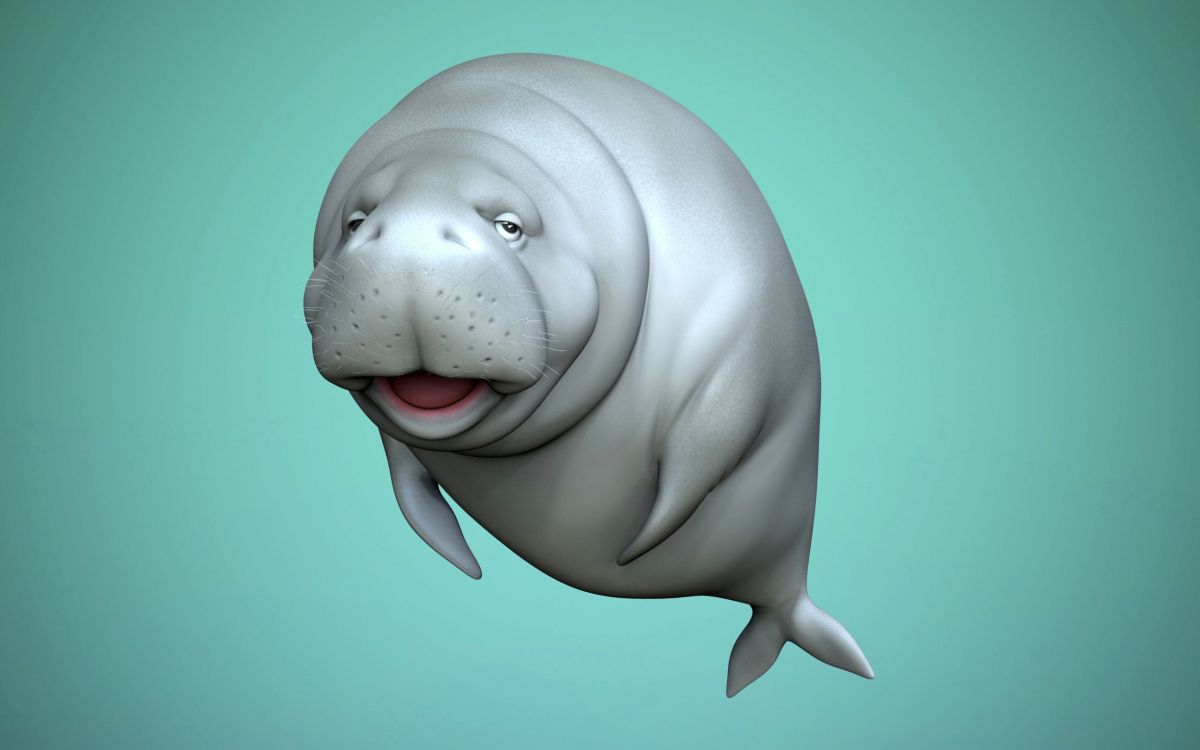 dugong, 3d modeling, FBX, virtual reality, head