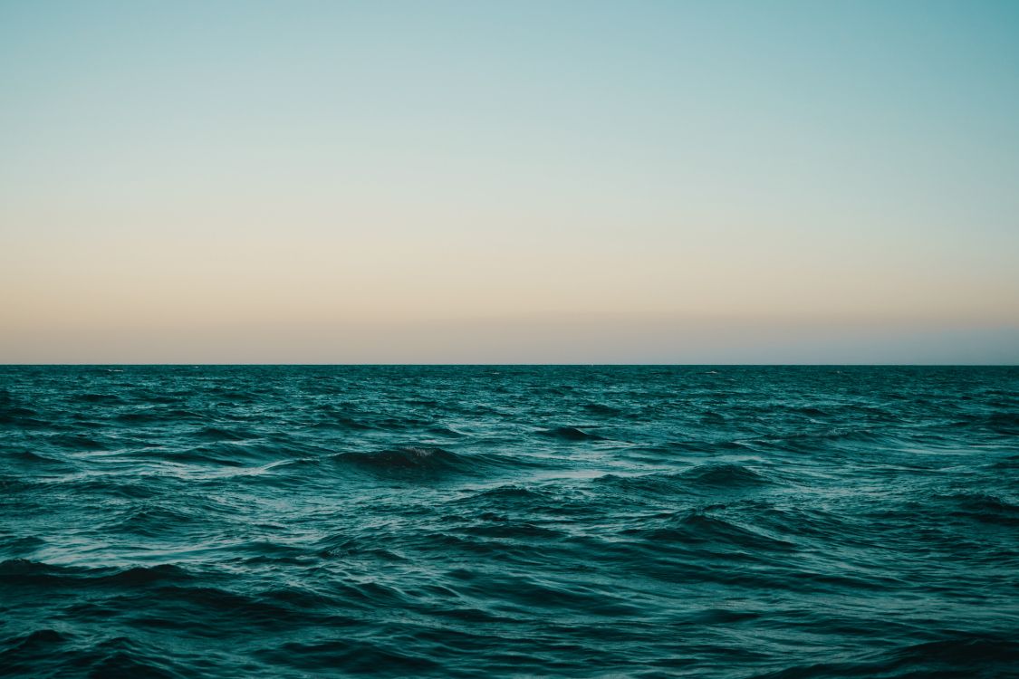 sea, horizon, body of water, ocean, water