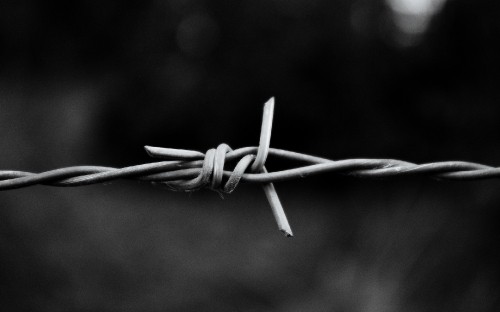 Image gray scale photo of a barb wire