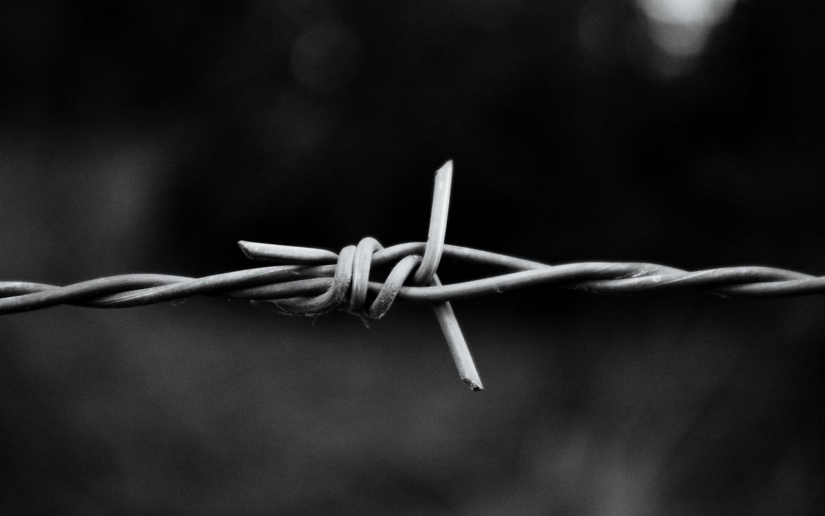 gray scale photo of a barb wire