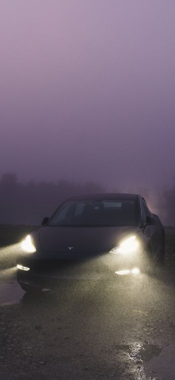 Tesla Model 3, Tesla, Reflexion, König, Wasser. Wallpaper in 1242x2688 Resolution