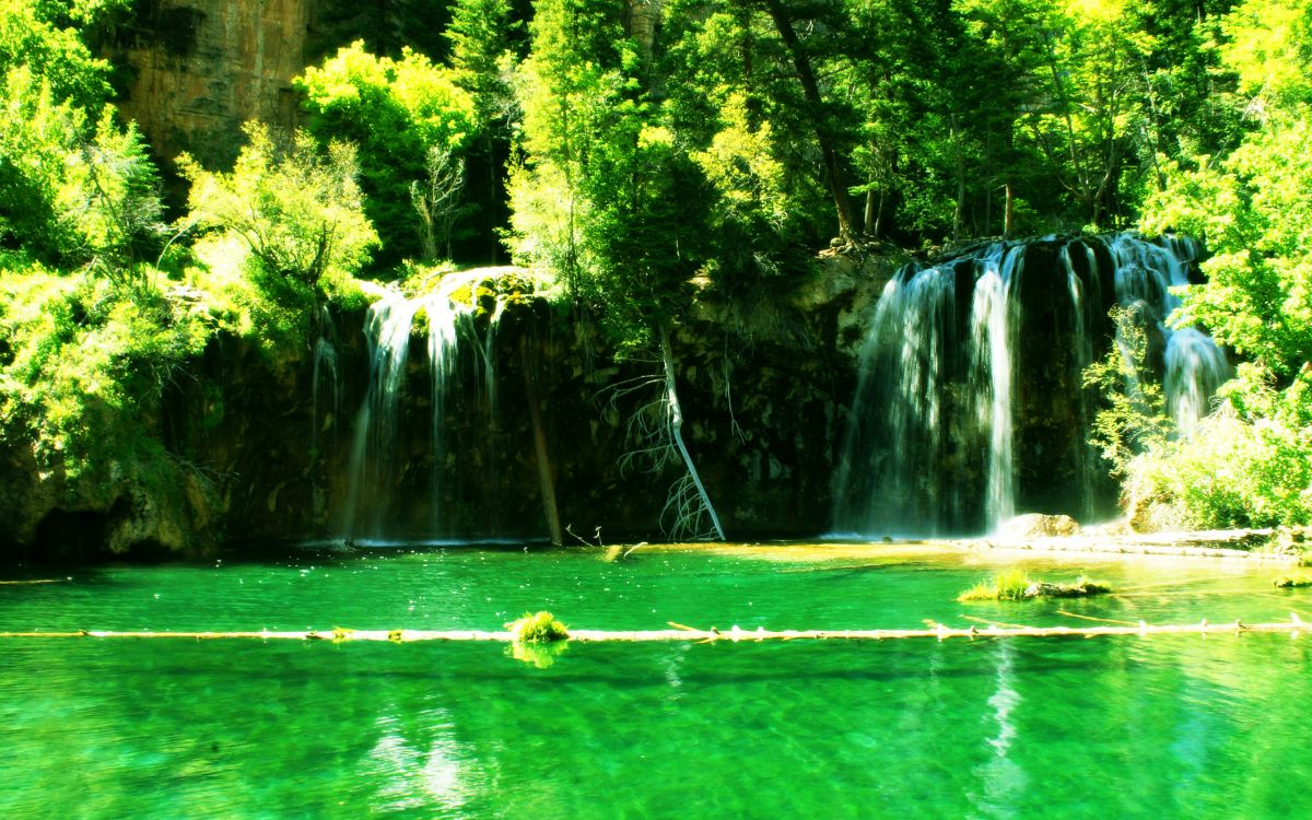 Grüne Bäume in Der Nähe Von Wasserfällen Tagsüber. Wallpaper in 2560x1600 Resolution