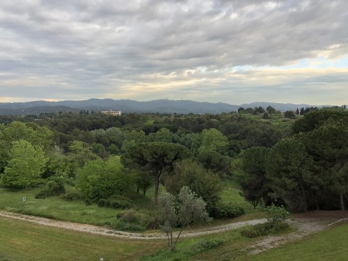 Image biome, shrubland, vegetation, cloud, plant community