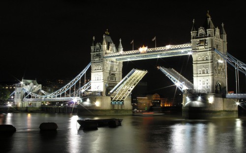 Image white bridge during night time