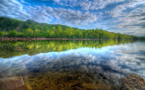 Image green trees beside lake under blue sky during daytime