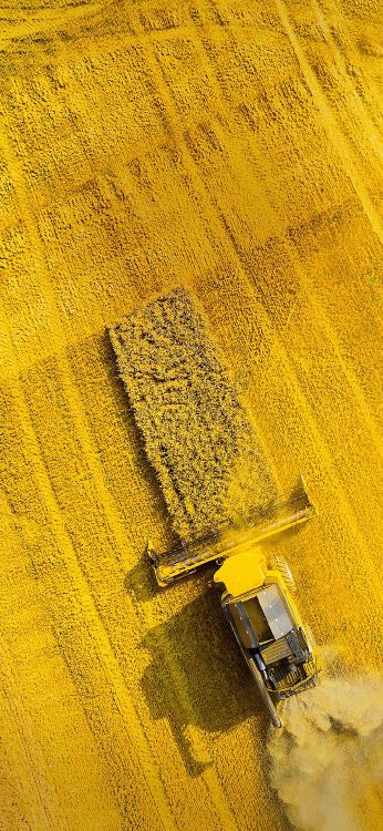 Asus, Asus ZenFone, Asus ZenFone 6, Asus Zenfone Max Pro m1 Zb602kl, Téléphone Rog Ii. Wallpaper in 1080x2340 Resolution