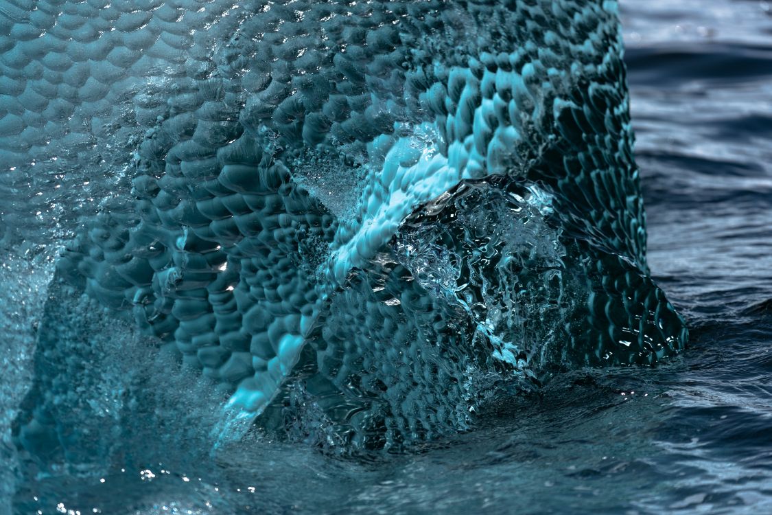 海洋, 海洋生物学, 大海, 水上 壁纸 6000x4000 允许