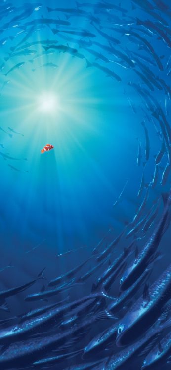 Cartel de la Película Buscando a Nemo, Cartel de Buscando a Nemo, Cartel de la Película, Cartel, la Compañía de Walt Disney. Wallpaper in 1080x2340 Resolution