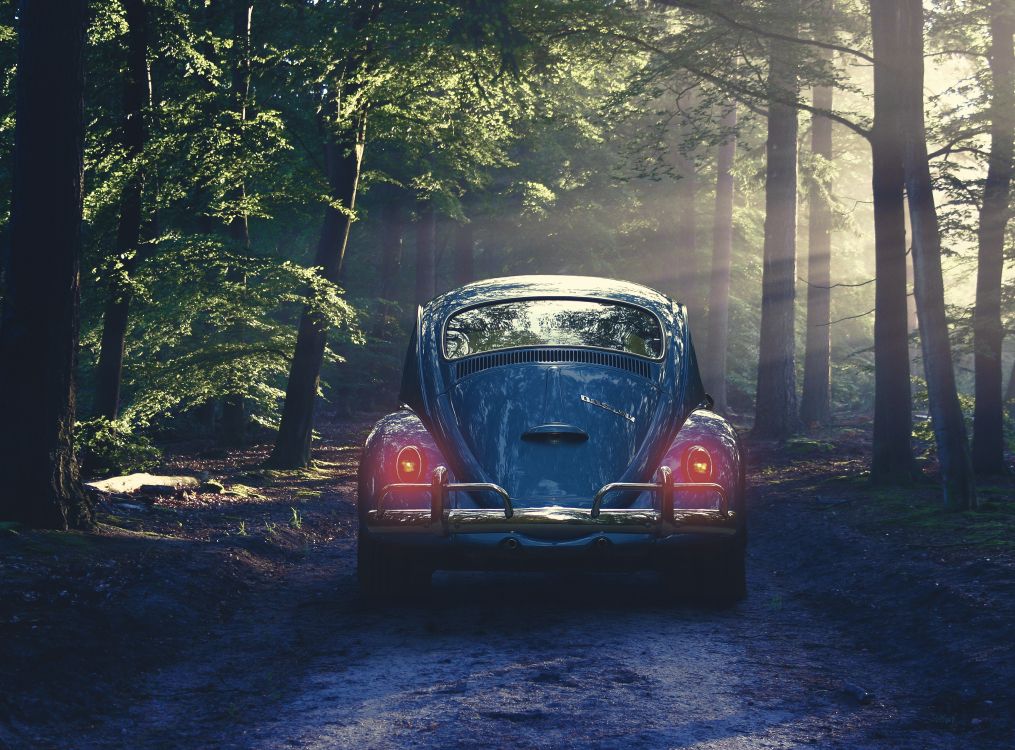 Download 12500x9228 Wallpaper Roter Volkswagen Käfer am Straßenrand Geparkt Roter Volkswagen Käfer am Straßenrand Geparkt. Wallpaper in 12500x9228 Resolution