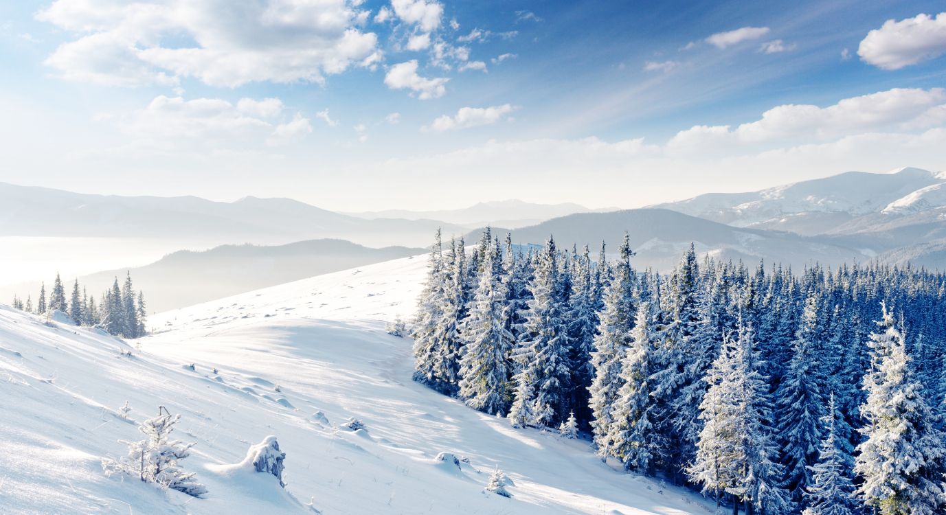 Snow Covered Pine Trees on Snow Covered Ground Under Blue Sky During Daytime. Wallpaper in 5417x2950 Resolution