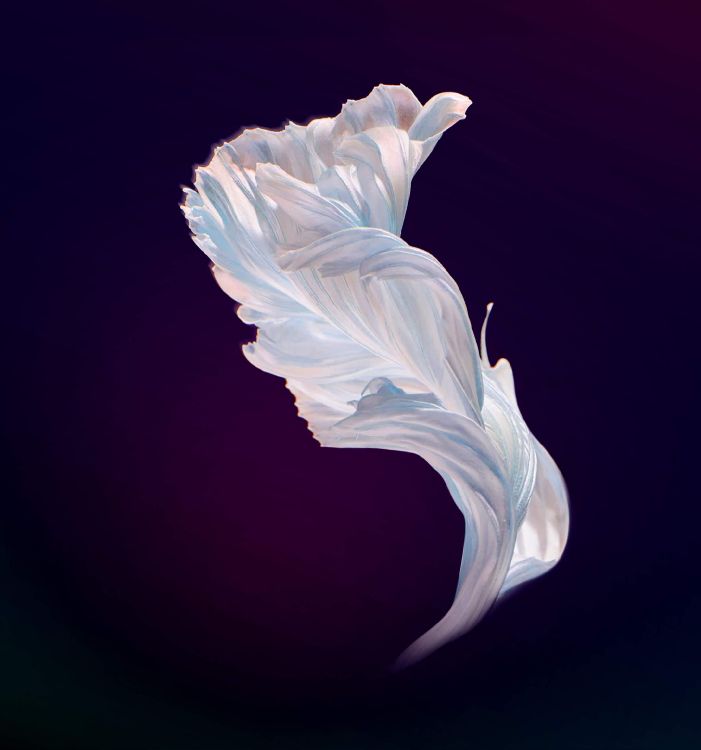 Huawei, Huawei Nova, Huawei Nova 4, Erfindet A9, Huawei Nova 4e. Wallpaper in 2160x2310 Resolution