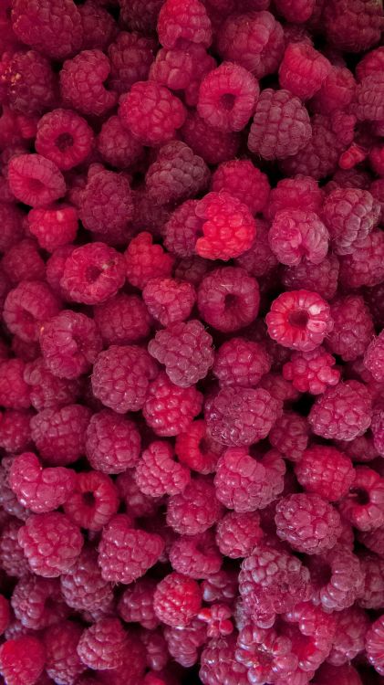Téléphone, Rouge Framboise, Framboise, Aliment, Ingrédient. Wallpaper in 1080x1920 Resolution