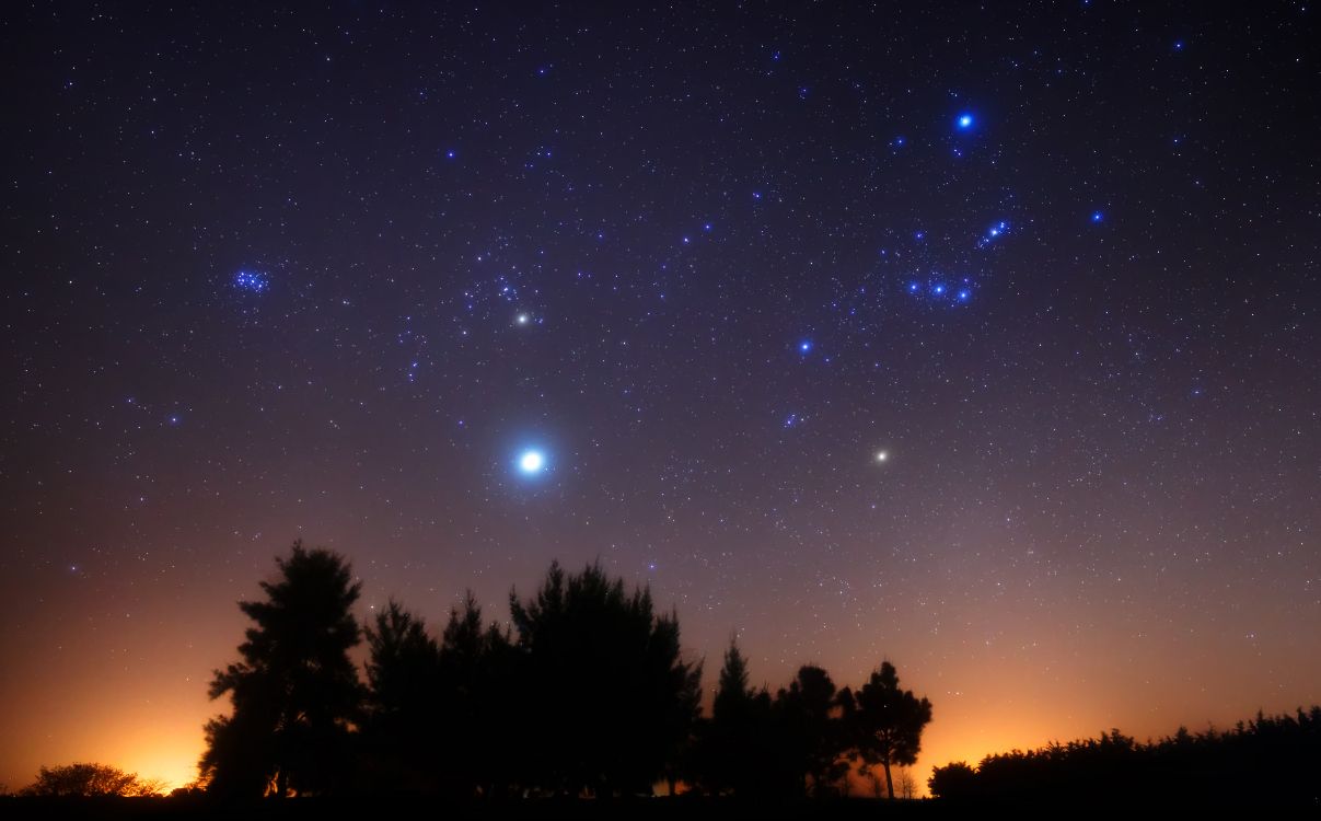 Silhouette Von Bäumen Unter Blauem Himmel Mit Sternen Während Der Nacht. Wallpaper in 7408x4602 Resolution