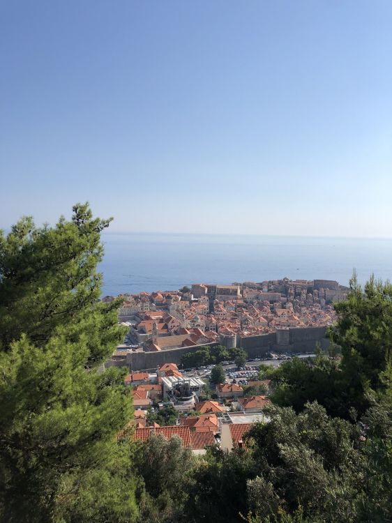 安装的风景, 科学, 生物学, 植被, 街区 壁纸 1536x2048 允许