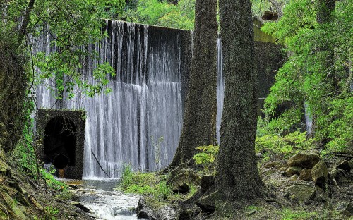 Image brown tree trunk near water falls