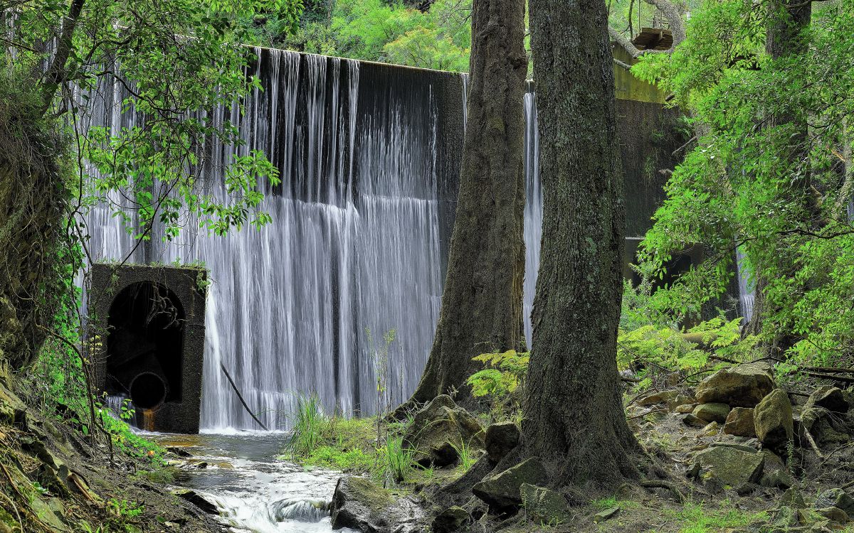 brown tree trunk near water falls