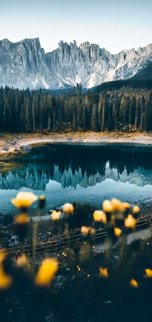 Image karersee, landscape, water, mountain, plant