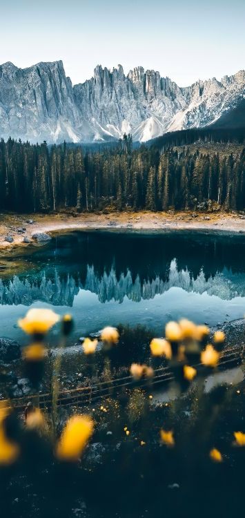 karersee, landscape, water, mountain, plant