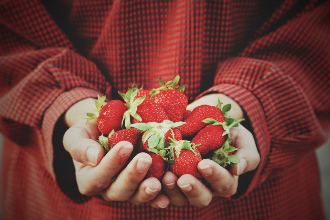Person Holding Strawberries on Hand. Wallpaper in 5472x3648 Resolution