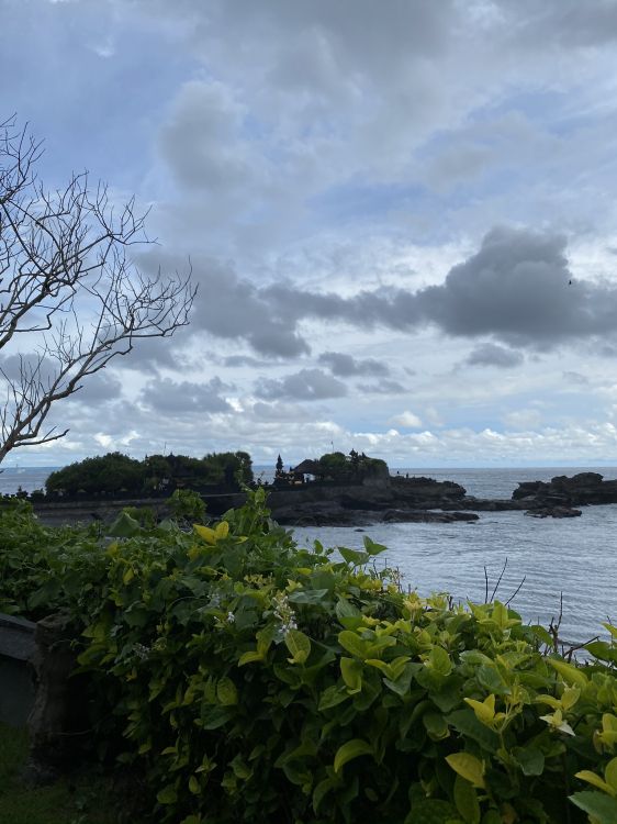 科学, 植被, 积云, 热带地区, 湖区 壁纸 1536x2048 允许