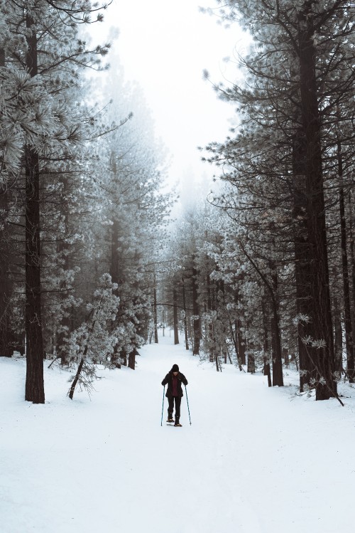 Image person in black jacket and blue pants walking on snow covered ground near trees during daytime