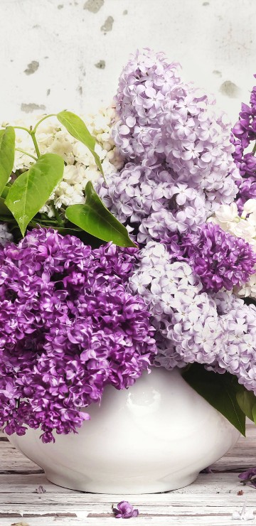 Image purple and white flowers in white ceramic vase