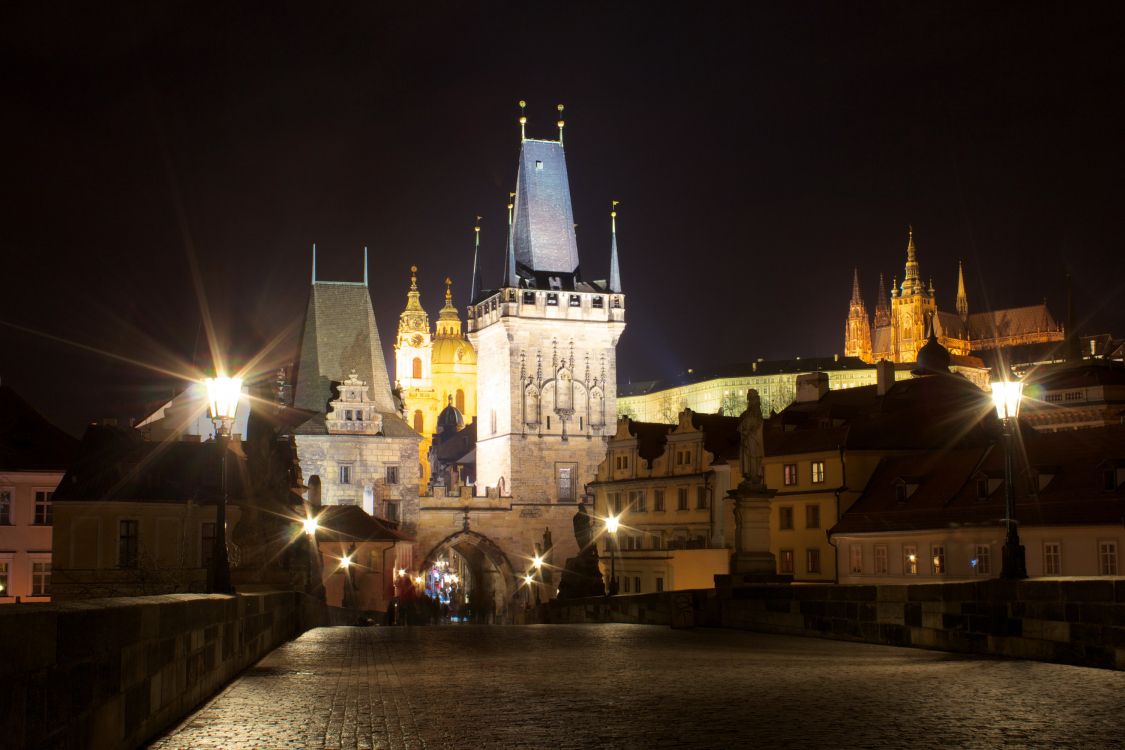 white and blue castle with lights during night time