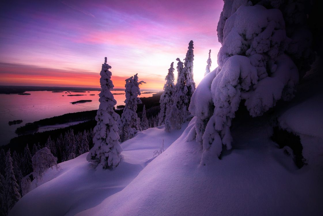 Nieve Atardecer Finlandia, Nieve, Parque Nacional Koli, Invierno, Ambiente. Wallpaper in 3690x2467 Resolution