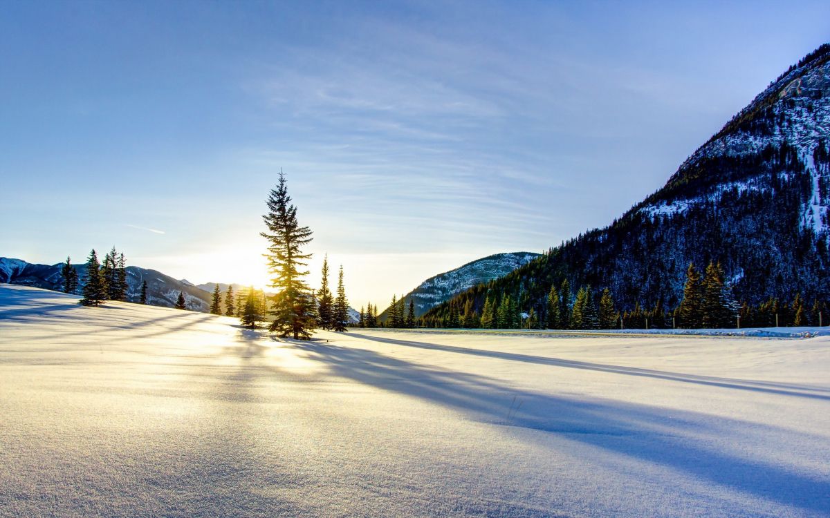 snow covered road near trees and mountain during daytime