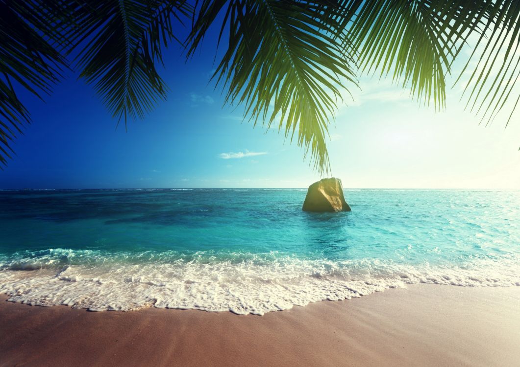 brown beach hat on beach during daytime