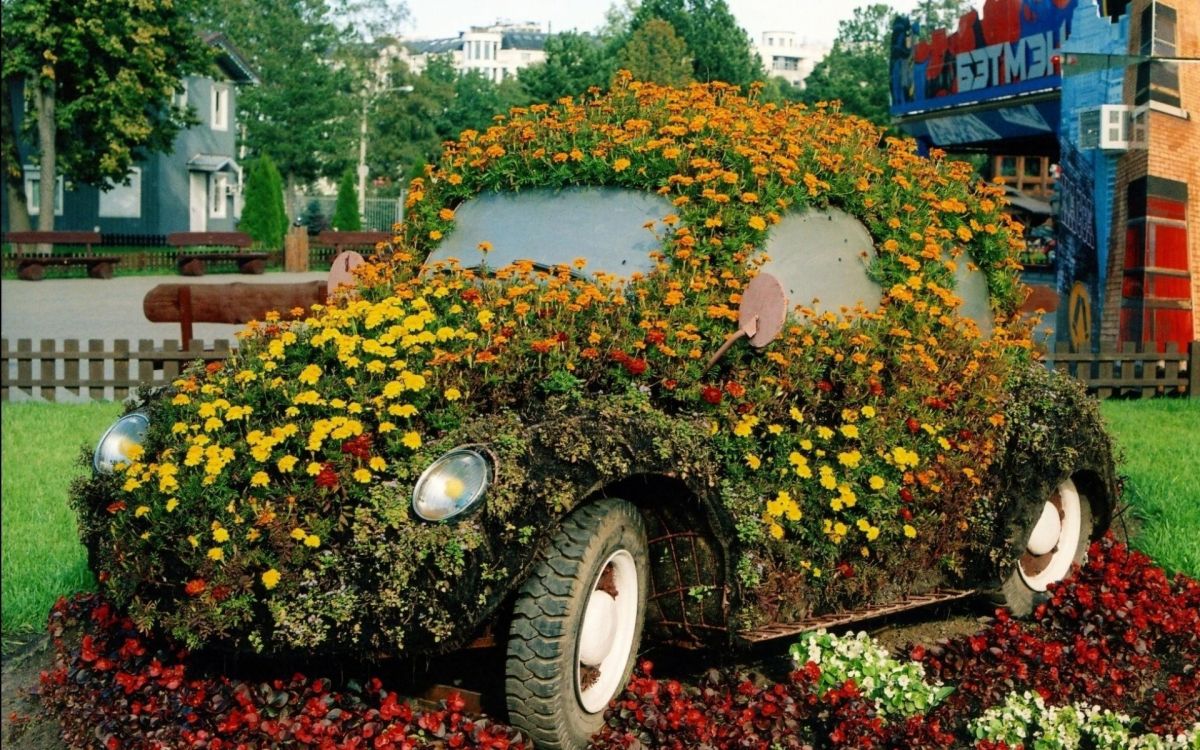 Gelbe Und Rote Blütenblätter Auf Grünem Gras. Wallpaper in 1920x1200 Resolution