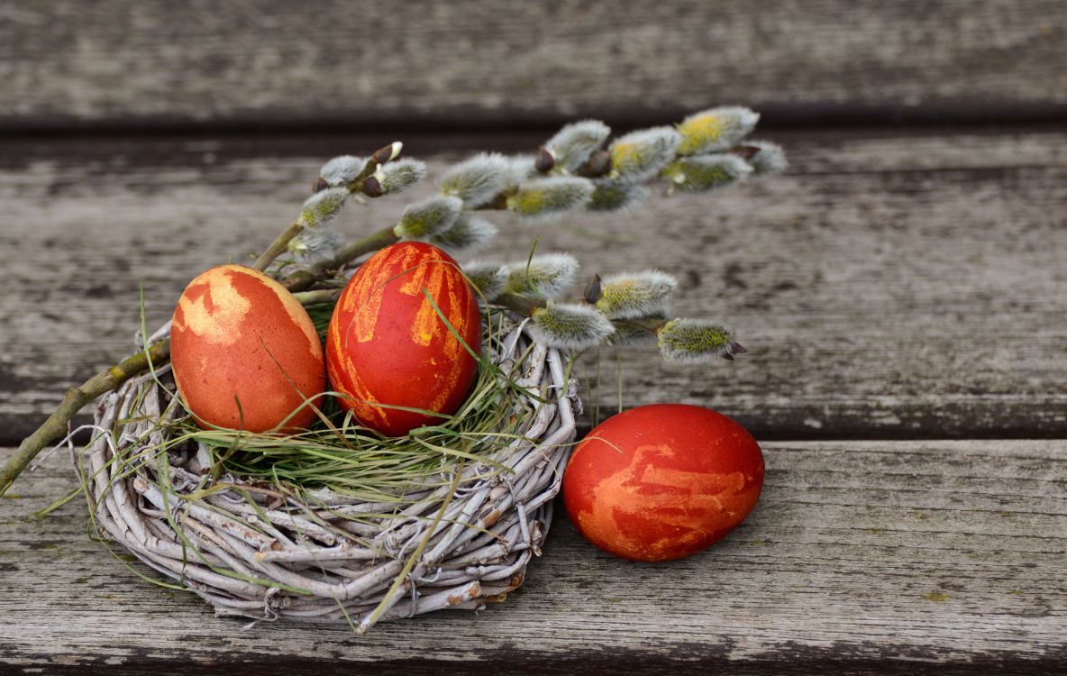 egg, easter egg, nest, food, still life