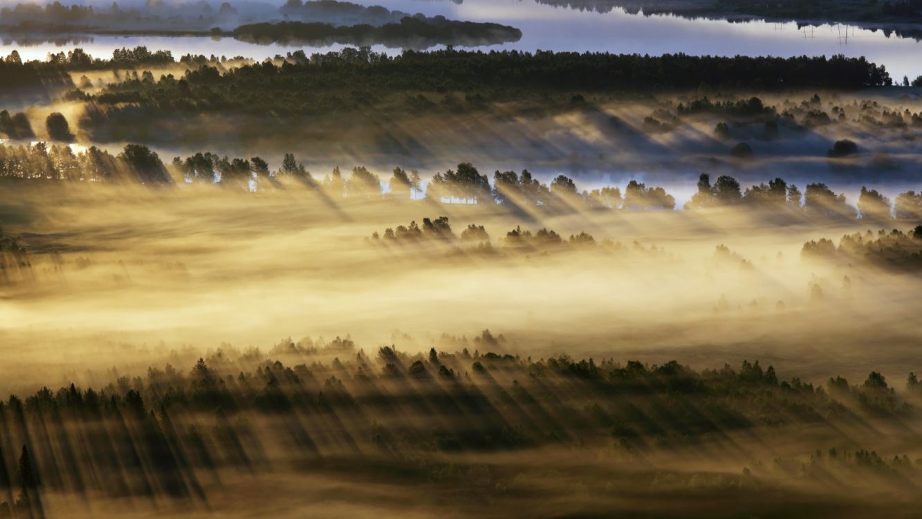 早上, 天空, 地平线, 画布, 气氛 壁纸 2112x1188 允许