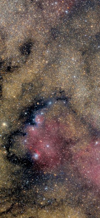 Nébuleuse, Brown, Objet Astronomique, Galaxie, Sciences. Wallpaper in 1080x2340 Resolution