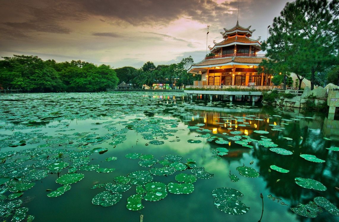 Braun-weißer Tempel Umgeben Von Grünen Bäumen Und Wasser. Wallpaper in 2560x1680 Resolution