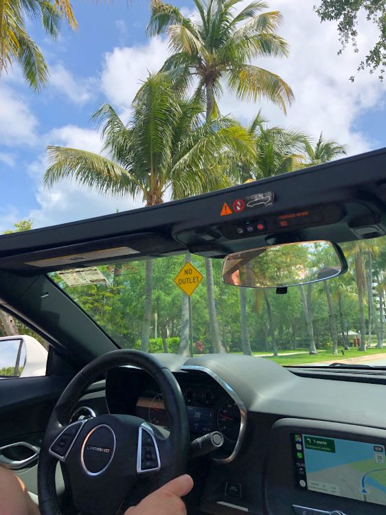 Windschutzscheibe, König, Familienauto, Lenkung Teil, Transport. Wallpaper in 3024x4032 Resolution