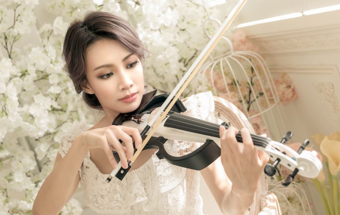 Instrumento de Cuerda, se Inclinó Instrumento de Cuerda, Violista, Violinista, Familia Del Violín. Wallpaper in 2048x1297 Resolution