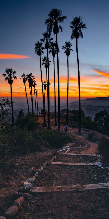 Coran, Voyage, Sac, Vacances, Voyage en Solo. Wallpaper in 2618x5238 Resolution