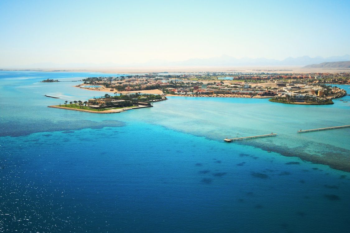 aerial view of city buildings near body of water during daytime