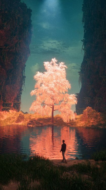 Vilsalpsee, Ko Lipe, Soundcloud, Alegría en lo Salvaje Desconocido, Album. Wallpaper in 1080x1920 Resolution