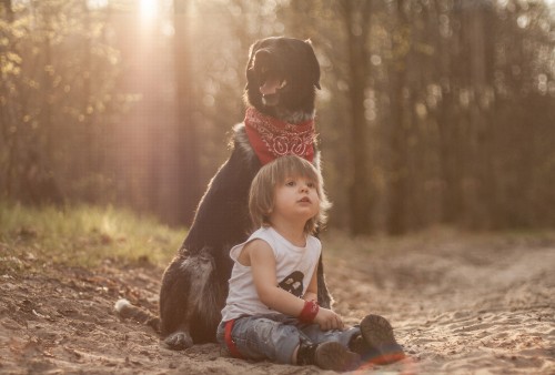 Image child, sunlight, fun, tree, grass