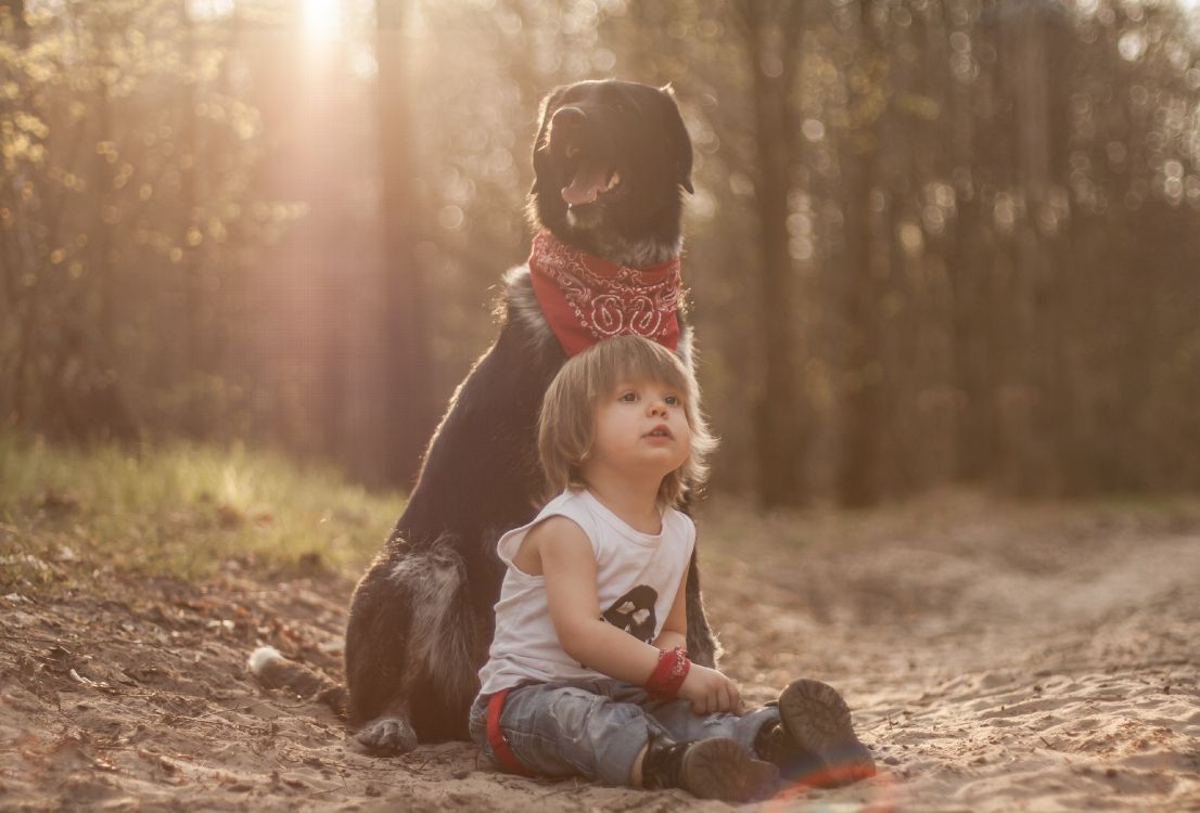 child, sunlight, fun, tree, grass