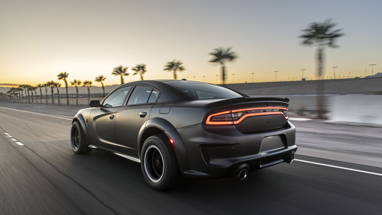 Dodge Chargeur Speedkore, Dodge Charger 2019, Dodge Charger Lx, Ruse, Roi. Wallpaper in 3840x2160 Resolution