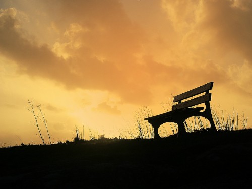 Image brown wooden bench on green grass field during sunset