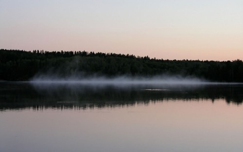 Image body of water near trees during daytime