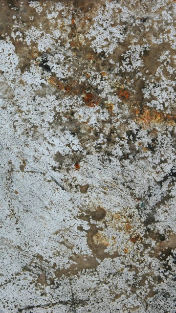 Image white and brown concrete floor